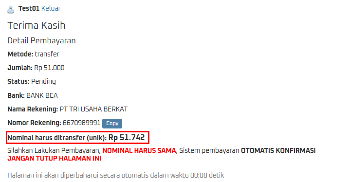 transfer-bank-06