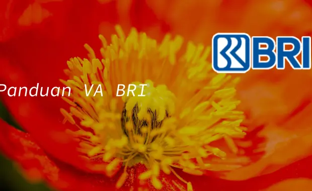 Virtual Account BRI